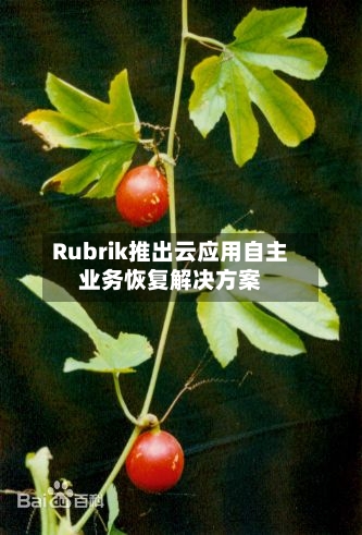 Rubrik推出云应用自主业务恢复解决方案
