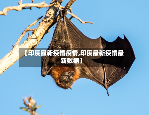 【印度最新疫情疫情,印度最新疫情最新数据】