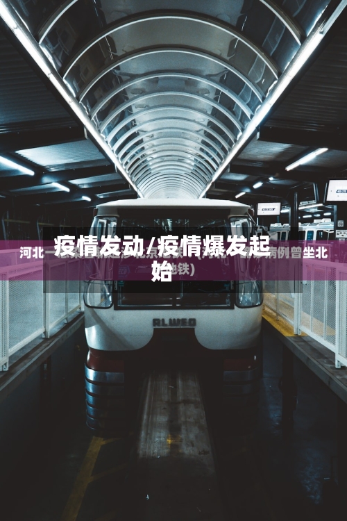 疫情发动/疫情爆发起始