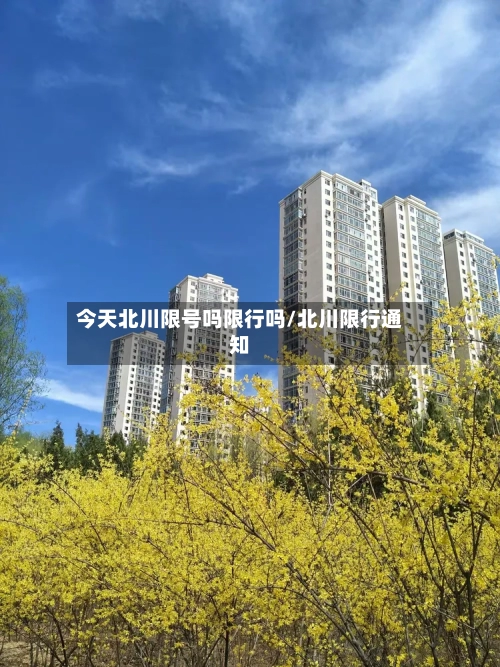 今天北川限号吗限行吗/北川限行通知