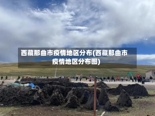 西藏那曲市疫情地区分布(西藏那曲市疫情地区分布图)