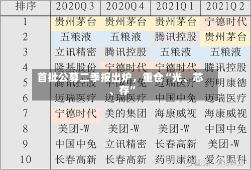 首批公募二季报出炉，重仓“光、芯、存”