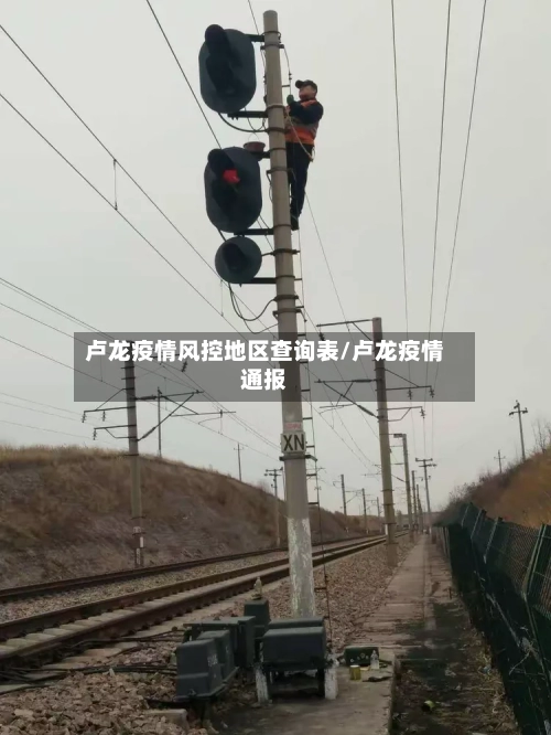 卢龙疫情风控地区查询表/卢龙疫情通报