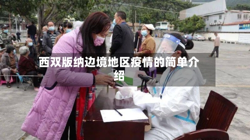 西双版纳边境地区疫情的简单介绍