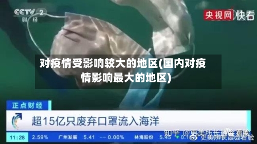 对疫情受影响较大的地区(国内对疫情影响最大的地区)