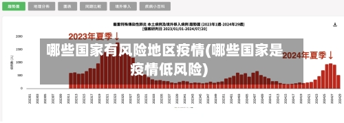 哪些国家有风险地区疫情(哪些国家是疫情低风险)