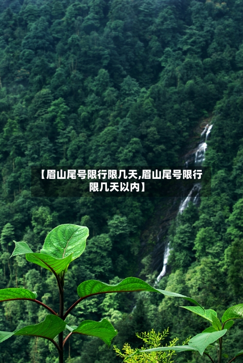 【眉山尾号限行限几天,眉山尾号限行限几天以内】