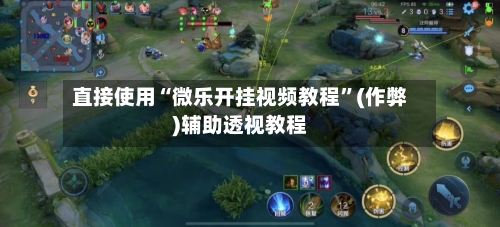 直接使用“微乐开挂视频教程”(作弊)辅助透视教程