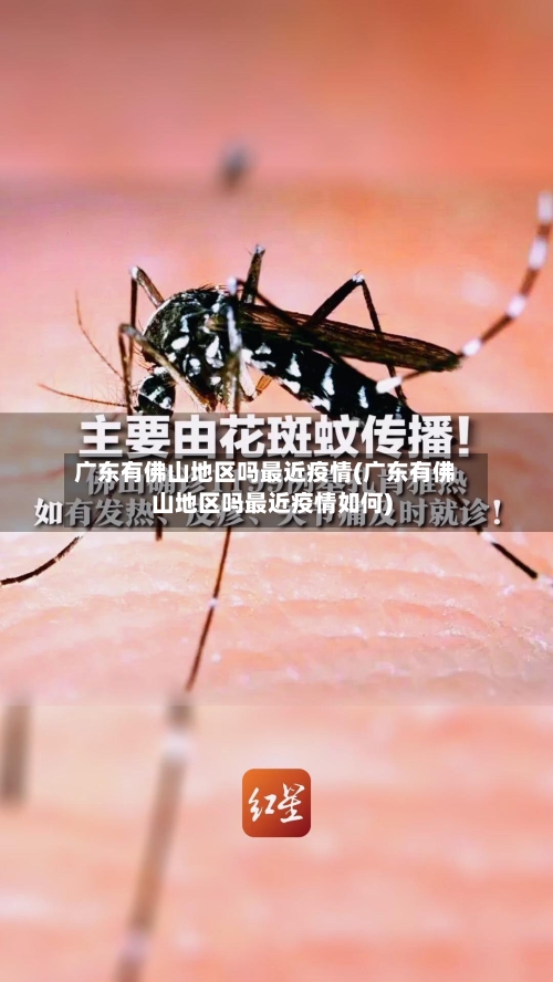 广东有佛山地区吗最近疫情(广东有佛山地区吗最近疫情如何)