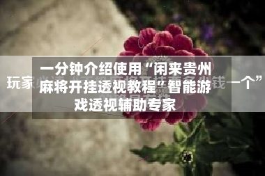 一分钟介绍使用“闲来贵州麻将开挂透视教程”智能游戏透视辅助专家