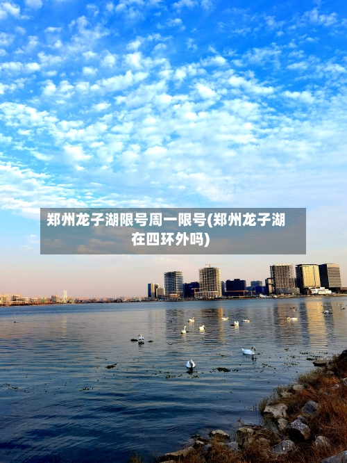郑州龙子湖限号周一限号(郑州龙子湖在四环外吗)