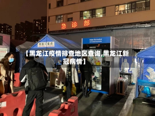 【黑龙江疫情排查地区查询,黑龙江新冠病情】