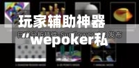 玩家辅助神器“wepoker私人局透视”(透视挂)辅助下载教程