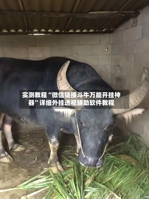 实测教程“微信链接斗牛万能开挂神器”详细外挂透视辅助软件教程