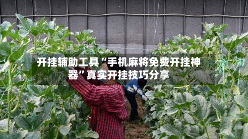 开挂辅助工具“手机麻将免费开挂神器”真实开挂技巧分享