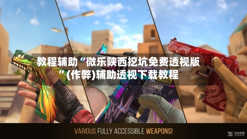 教程辅助“微乐陕西挖坑免费透视版”(作弊)辅助透视下载教程