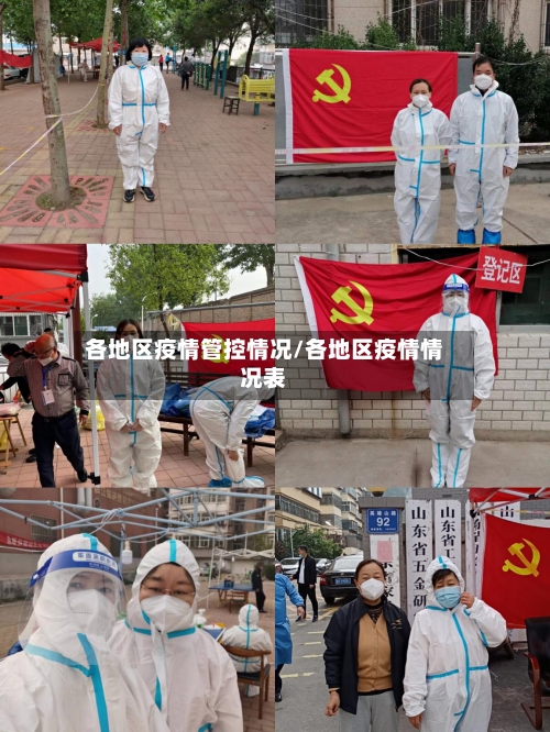 各地区疫情管控情况/各地区疫情情况表