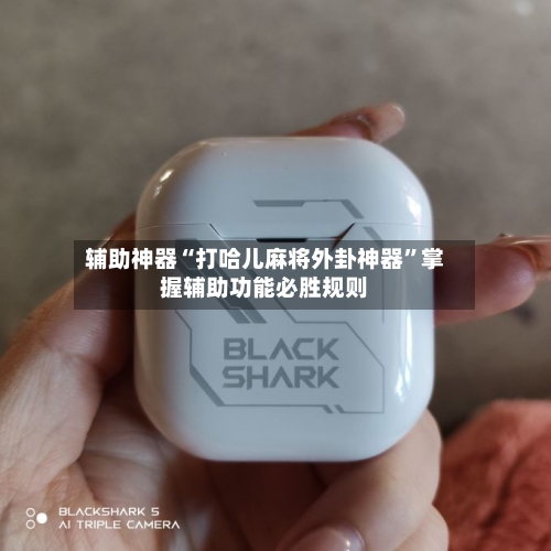 辅助神器“打哈儿麻将外卦神器”掌握辅助功能必胜规则