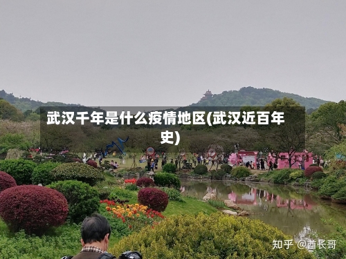 武汉千年是什么疫情地区(武汉近百年史)