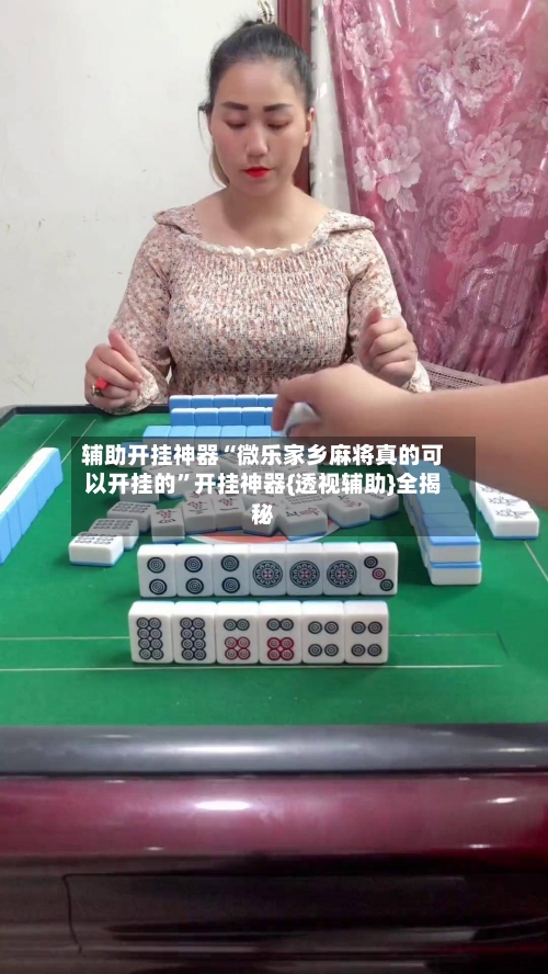 辅助开挂神器“微乐家乡麻将真的可以开挂的”开挂神器{透视辅助}全揭秘