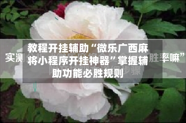 教程开挂辅助“微乐广西麻将小程序开挂神器”掌握辅助功能必胜规则