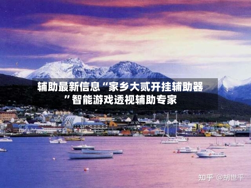 辅助最新信息“家乡大贰开挂辅助器”智能游戏透视辅助专家