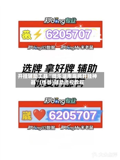 开挂辅助工具“微乐湖南麻将开挂神器”(作弊)辅助透视教程