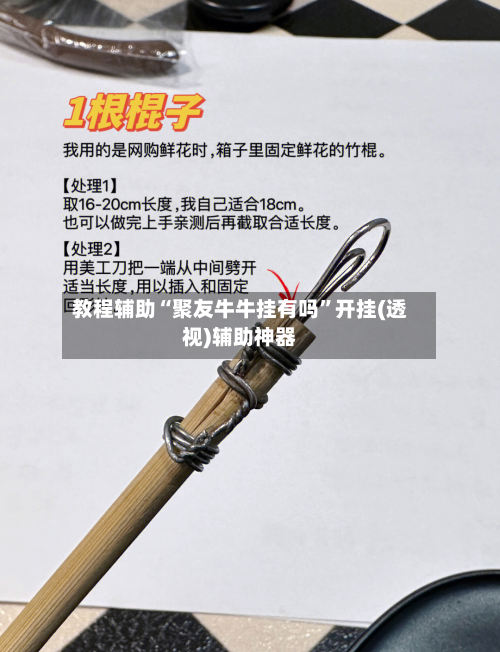 教程辅助“聚友牛牛挂有吗”开挂(透视)辅助神器