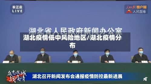湖北疫情低中风险地区/湖北疫情分布