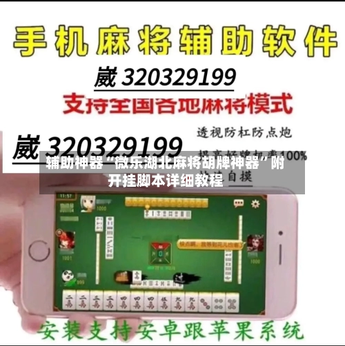 辅助神器“微乐湖北麻将胡牌神器”附开挂脚本详细教程
