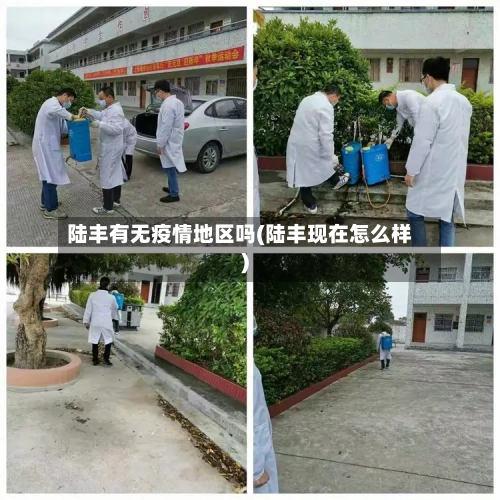陆丰有无疫情地区吗(陆丰现在怎么样)