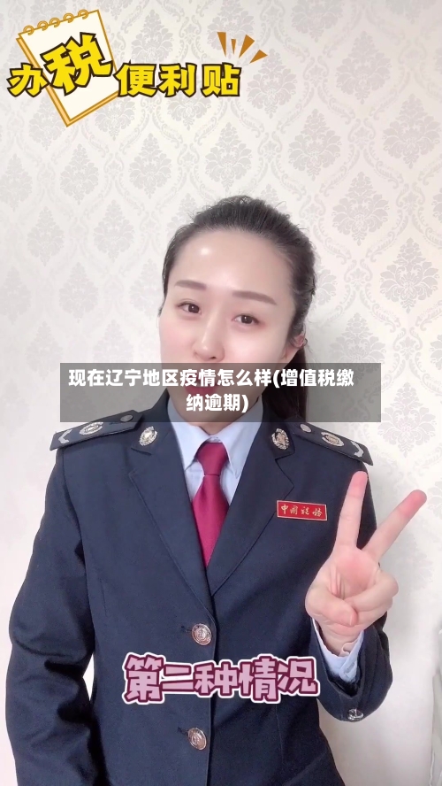 现在辽宁地区疫情怎么样(增值税缴纳逾期)