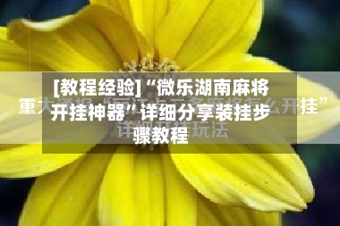 [教程经验]“微乐湖南麻将开挂神器”详细分享装挂步骤教程