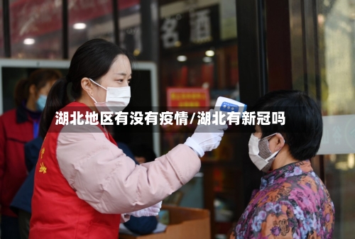 湖北地区有没有疫情/湖北有新冠吗