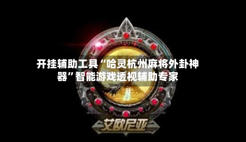 开挂辅助工具“哈灵杭州麻将外卦神器”智能游戏透视辅助专家
