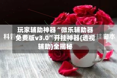 玩家辅助神器“微乐辅助器免费版v3.0”开挂神器{透视辅助}全揭秘