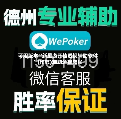 可用版本“新星游开挂透视辅助软件”(作弊)辅助透视教程