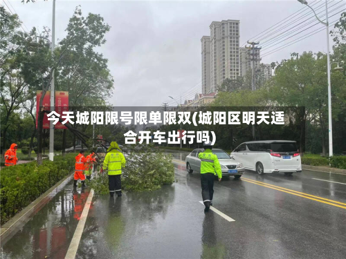 今天城阳限号限单限双(城阳区明天适合开车出行吗)
