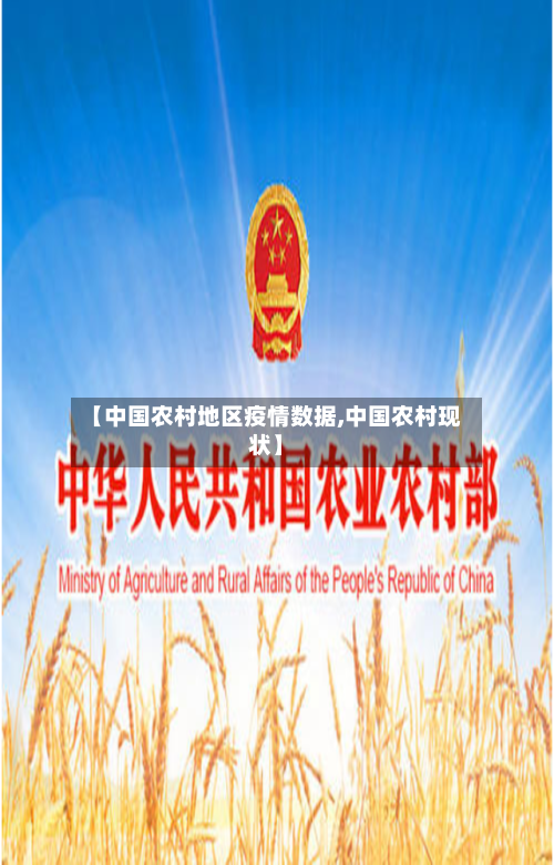 【中国农村地区疫情数据,中国农村现状】