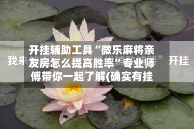 开挂辅助工具“微乐麻将亲友房怎么提高胜率”专业师傅带你一起了解(确实有挂