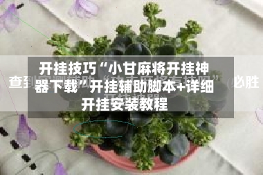 开挂技巧“小甘麻将开挂神器下载”开挂辅助脚本+详细开挂安装教程