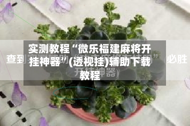 实测教程“微乐福建麻将开挂神器”(透视挂)辅助下载教程