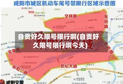 自贡好久限号限行啊(自贡好久限号限行啊今天)