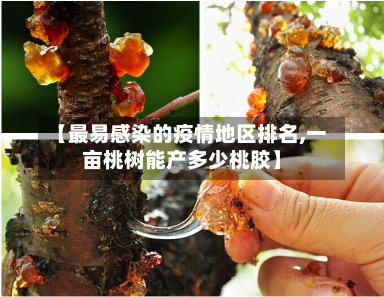 【最易感染的疫情地区排名,一亩桃树能产多少桃胶】