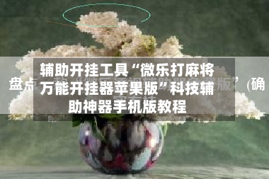 辅助开挂工具“微乐打麻将万能开挂器苹果版”科技辅助神器手机版教程