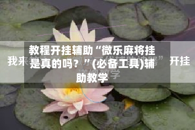 教程开挂辅助“微乐麻将挂是真的吗？”(必备工具)辅助教学