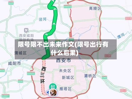 限号限不出未来作文(限号出行有什么后果)