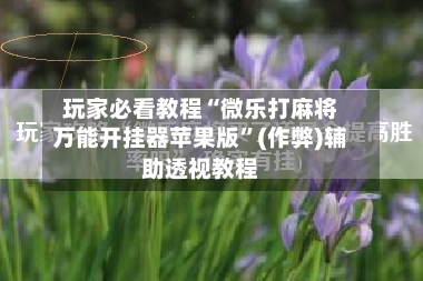 玩家必看教程“微乐打麻将万能开挂器苹果版”(作弊)辅助透视教程