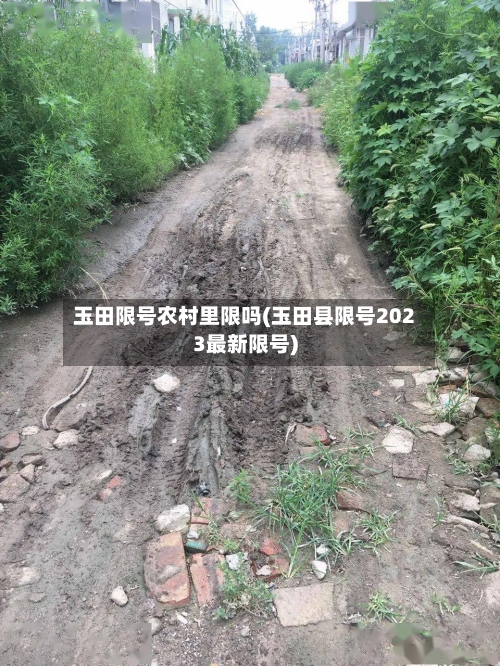 玉田限号农村里限吗(玉田县限号2023最新限号)