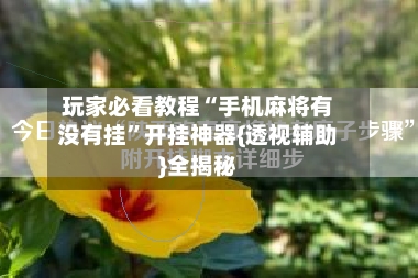 玩家必看教程“手机麻将有没有挂”开挂神器{透视辅助}全揭秘